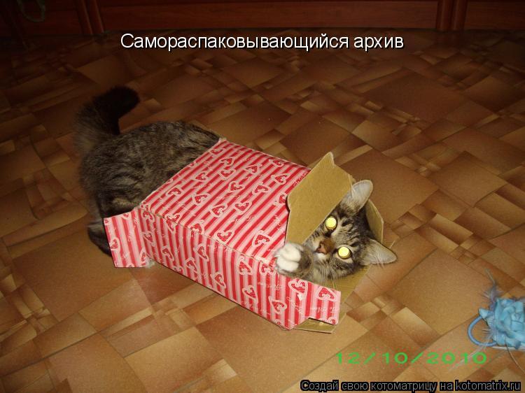 Самораспаковывающийся архив... Котоматрица: Самораспаковывающийся архив