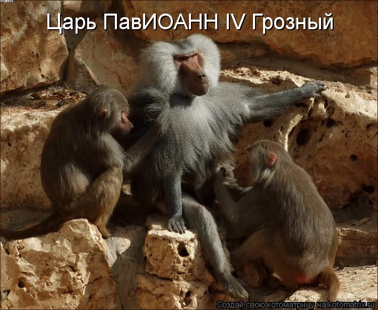 Царь ПавИОАНН IV Грозный... Котоматрица: Царь ПавИОАНН IV Грозный