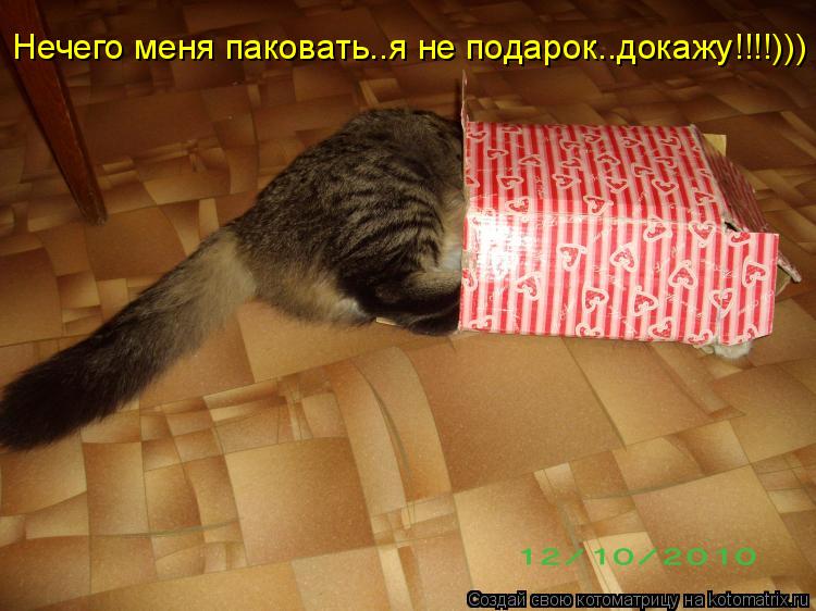 Котоматрица: Нечего меня паковать..я не подарок..докажу!!!!)))