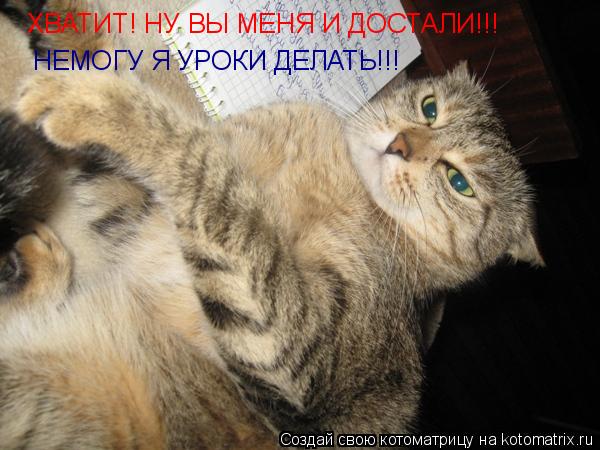 Котоматрица: ХВАТИТ! НУ ВЫ МЕНЯ И ДОСТАЛИ!!! НЕМОГУ Я УРОКИ ДЕЛАТЬ!!!