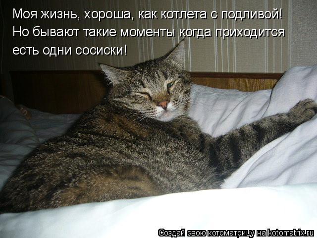 Моя жизнь, хороша, как котлета с подливой! Но бывают такие моменты когда приходится есть одни сосиски... Котоматрица: Моя жизнь, хороша, как котлета с подливой! Но бывают такие моменты когда приходится есть одни сосиски!