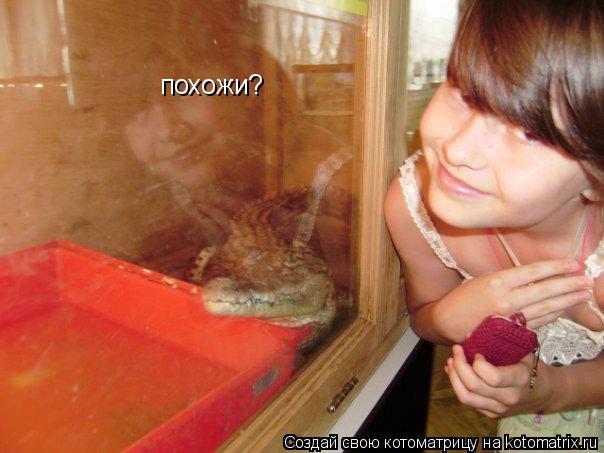 Котоматрица: похожи?