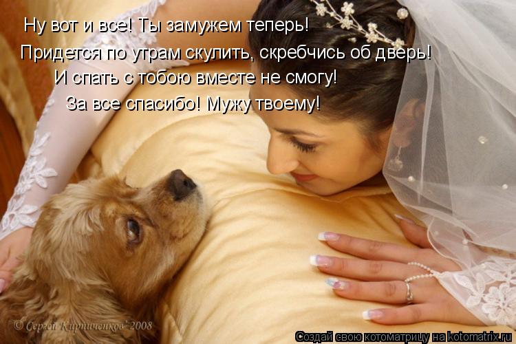 Котоматрица: Ну вот и все! Ты замужем теперь! Придется по утрам скулить, скребчись об дверь! И спать с тобою вместе не смогу! За все спасибо! Мужу твоему!