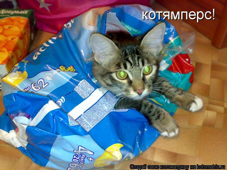 Котоматрица: котямперс!