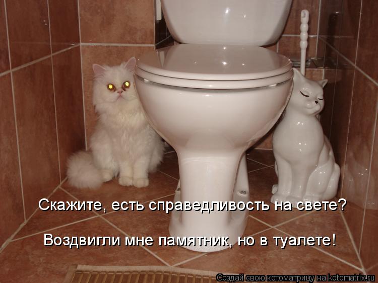 Скажите, есть справедливость на свете? Воздвигли мне памятник, но в туалете!... Котоматрица: Скажите, есть справедливость на свете? Воздвигли мне памятник, но в туалете!