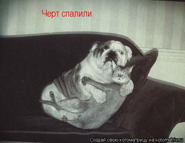 Котоматрица: Черт спалили