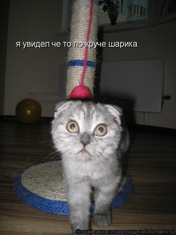 Котоматрица: я увидел че то по круче шарика я увидел че то по круче шарика
