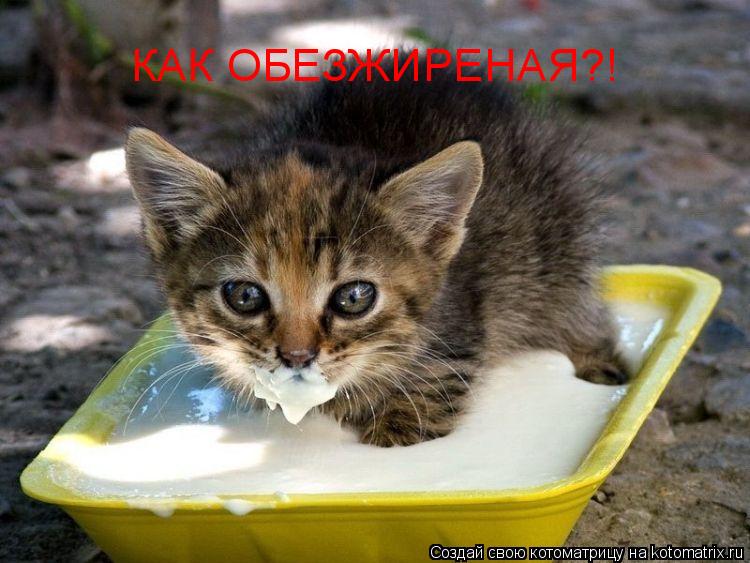 Котоматрица: КАК ОБЕЗЖИРЕНАЯ?!