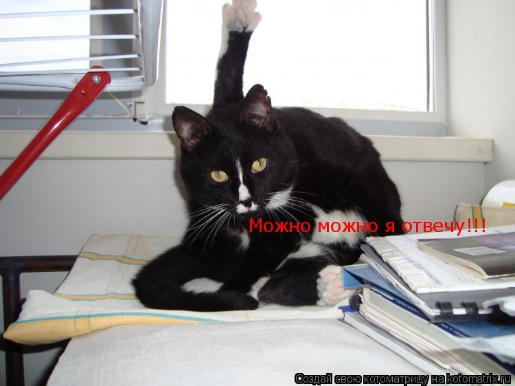 Можно можно я отвечу!!!... Котоматрица: Можно можно я отвечу!!!