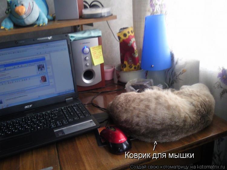 / ^ Коврик для мышки... Котоматрица: / ^ Коврик для мышки