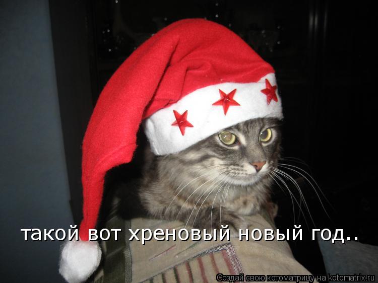 такой вот хреновый новый год..... Котоматрица: такой вот хреновый новый год..