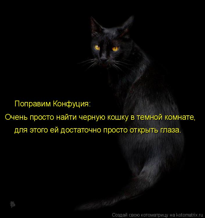 Очень просто найти черную кошку в темной комнате, для этого ей достаточно просто открыть глаза. Попр... Котоматрица: Очень просто найти черную кошку в темной комнате, для этого ей достаточно просто открыть глаза. Поправим Конфуция: