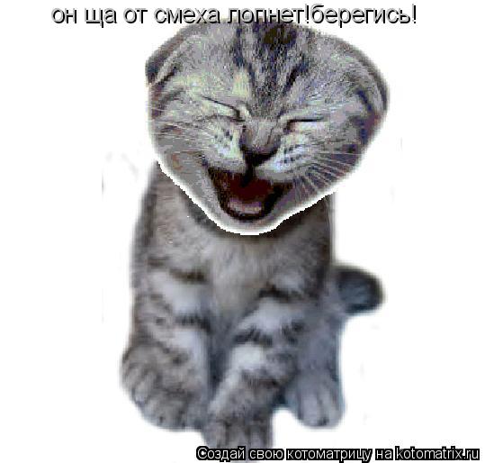 он ща от смеха лопнет!берегись!... Котоматрица: он ща от смеха лопнет!берегись!