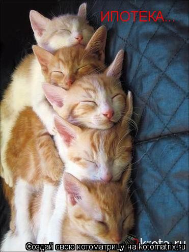ИПОТЕКА...... Котоматрица: ИПОТЕКА...