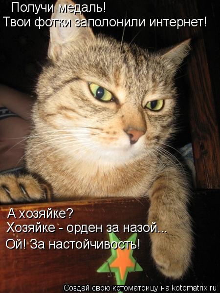 Получи медаль! Твои фотки заполонили интернет! А хозяйке? Хозяйке - орден за назой... Ой! За настой... Котоматрица: Получи медаль! Твои фотки заполонили интернет! А хозяйке? Хозяйке - орден за назой... Ой! За настойчивость!