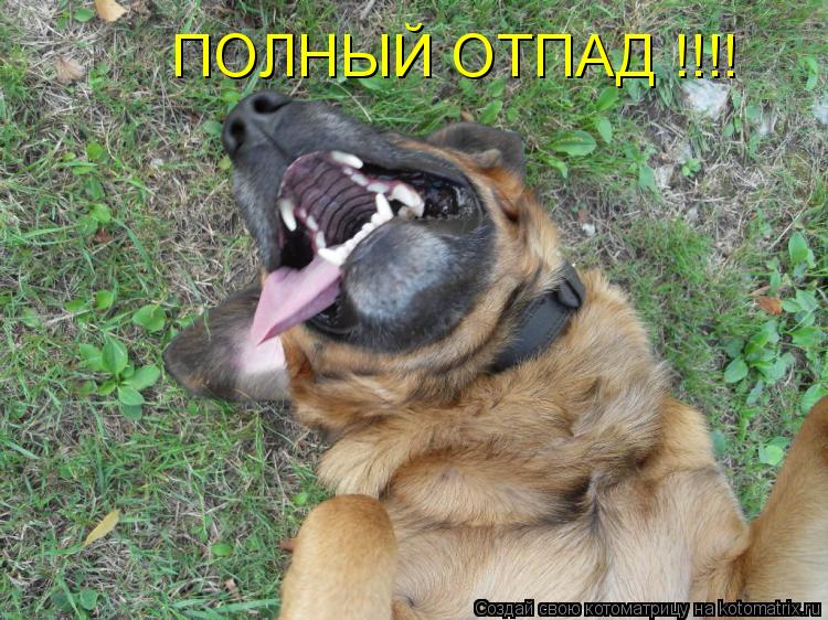 ПОЛНЫЙ ОТПАД !!!!... Котоматрица: ПОЛНЫЙ ОТПАД !!!!
