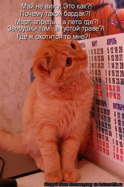 Май не вижу! Это как?! Почему такой бардак?! Март, апрель... а лето где?! Где ж охотится то мне?! Зв... Котоматрица: Май не вижу! Это как?! Почему такой бардак?! Март, апрель... а лето где?! Где ж охотится то мне?! Зверушки там...в густой траве?!