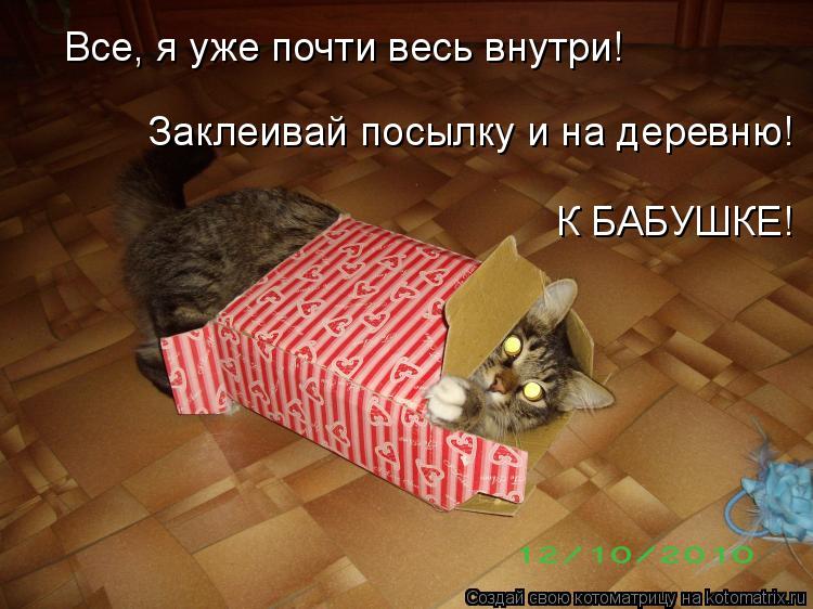 Все, я уже почти весь внутри! Заклеивай посылку и на деревню! К БАБУШКЕ!... Котоматрица: Все, я уже почти весь внутри! Заклеивай посылку и на деревню! К БАБУШКЕ!