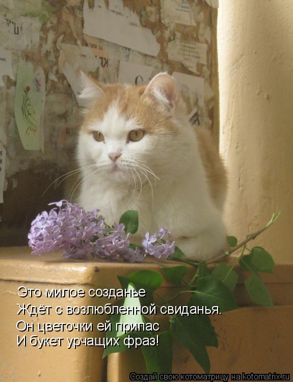 Это милое созданье Ждёт с возлюбленной свиданья. Он цветочки ей припас И букет урчащих фраз!... Котоматрица: Это милое созданье Ждёт с возлюбленной свиданья. Он цветочки ей припас И букет урчащих фраз!