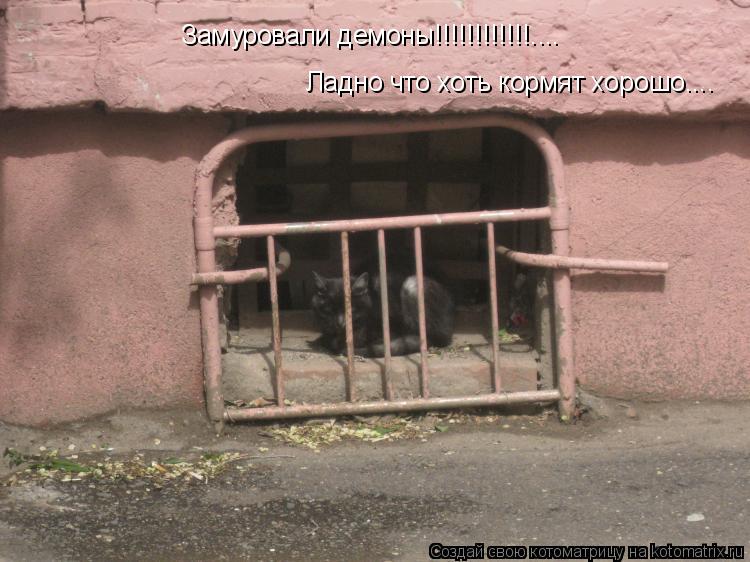 Замуровали демоны!!!!!!!!!!!!.... Ладно что хоть кормят хорошо....... Котоматрица: Замуровали демоны!!!!!!!!!!!!.... Ладно что хоть кормят хорошо....
