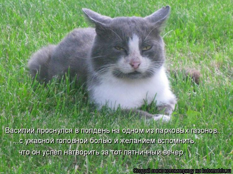 Василий проснулся в полдень на одном из парковых газонов... ...с ужасной головной болью и желанием вс... Котоматрица: Василий проснулся в полдень на одном из парковых газонов... ...с ужасной головной болью и желанием вспомнить, что он успел натворить за тот пя