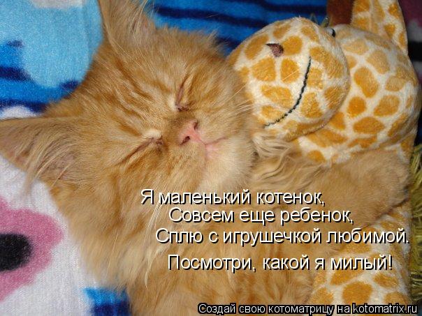 Я маленький котенок, Совсем еще ребенок, Сплю с игрушечкой любимой. Посмотри, какой я милый!... Котоматрица: Я маленький котенок, Совсем еще ребенок, Сплю с игрушечкой любимой. Посмотри, какой я милый!