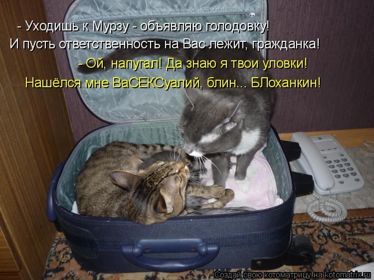 - Уходишь к Мурзу - объявляю голодовку! И пусть ответственность на Вас лежит, гражданка! - Ой, напуга... Котоматрица: - Уходишь к Мурзу - объявляю голодовку! И пусть ответственность на Вас лежит, гражданка! - Ой, напугал! Да знаю я твои уловки! Нашёлся мне ВаСЕК