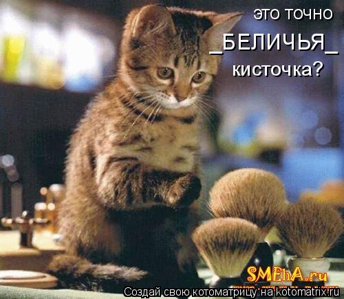 это точно _БЕЛИЧЬЯ_ кисточка?... Котоматрица: это точно _БЕЛИЧЬЯ_ кисточка?