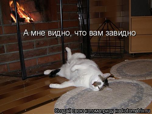 А мне видно, что вам завидно... Котоматрица: А мне видно, что вам завидно