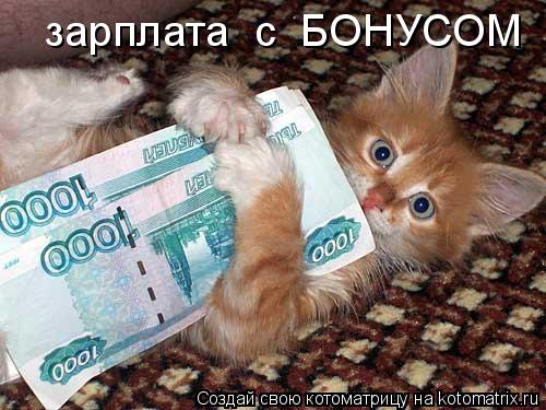 зарплата с БОНУСОМ... Котоматрица: зарплата с БОНУСОМ