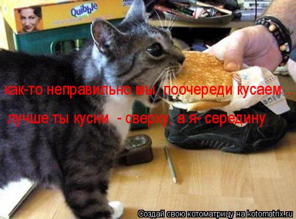 как-то неправильно мы поочереди кусаем .. лучше ты кусни - сверху, а я- середину... Котоматрица: как-то неправильно мы поочереди кусаем .. лучше ты кусни - сверху, а я- середину
