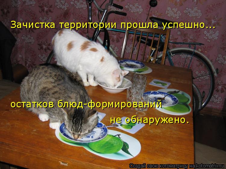 Зачистка территории прошла успешно... остатков блюд-формирований не обнаружено.... Котоматрица: Зачистка территории прошла успешно... остатков блюд-формирований не обнаружено.