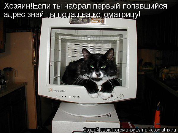 Хозяин!Если ты набрал первый попавшийся адрес:знай ты попал на котоматрицу!... Котоматрица: Хозяин!Если ты набрал первый попавшийся адрес:знай ты попал на котоматрицу!