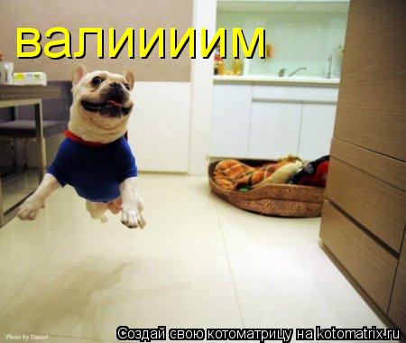 валиииим... Котоматрица: валиииим