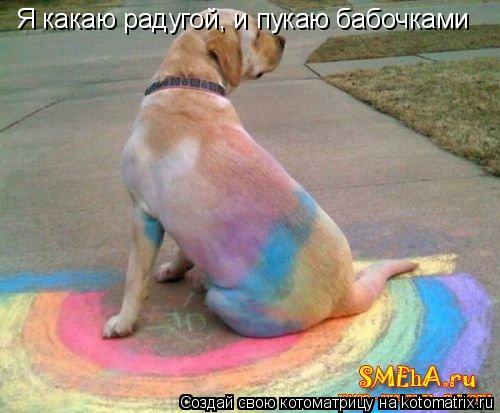 Я какаю радугой, и пукаю бабочками... Котоматрица: Я какаю радугой, и пукаю бабочками