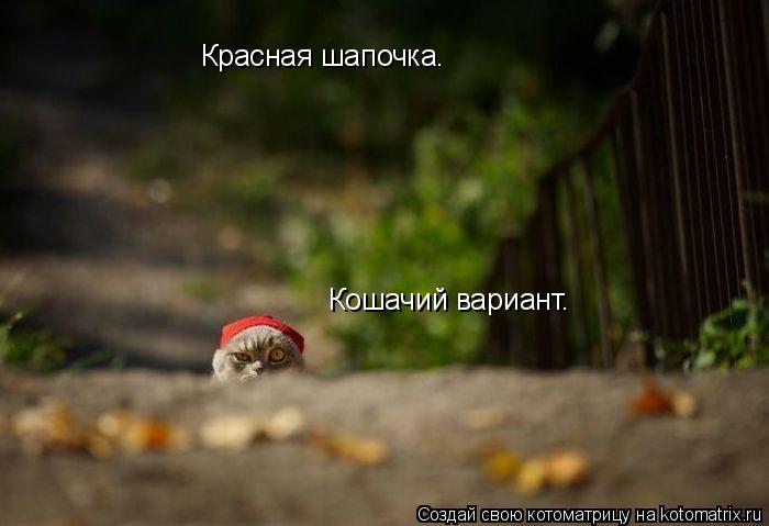 Красная шапочка. Кошачий вариант.... Котоматрица: Красная шапочка. Кошачий вариант.