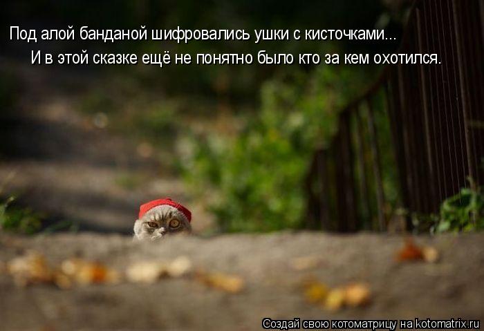 Под алой банданой шифровались ушки с кисточками... И в этой сказке ещё не понятно было кто за кем охо... Котоматрица: Под алой банданой шифровались ушки с кисточками... И в этой сказке ещё не понятно было кто за кем охотился.