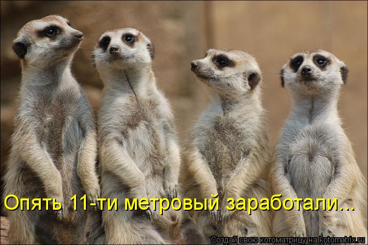 Опять 11-ти метровый заработали...... Котоматрица: Опять 11-ти метровый заработали...
