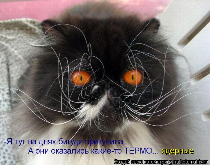 -Я тут на днях бигуди прикупила... А они оказались какие-то ТЕРМО... ядерные... Котоматрица: -Я тут на днях бигуди прикупила... А они оказались какие-то ТЕРМО... ядерные