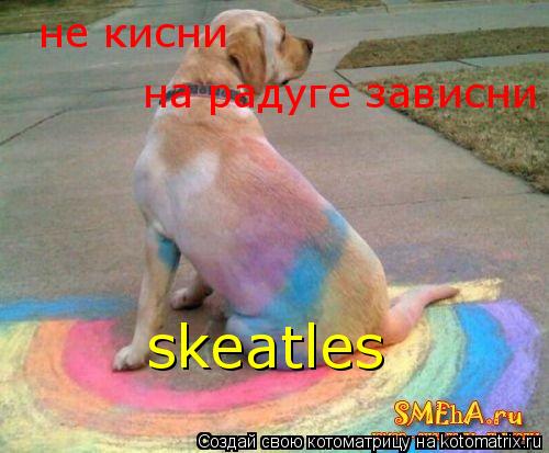не кисни на радуге зависни skeatles... Котоматрица: не кисни на радуге зависни skeatles