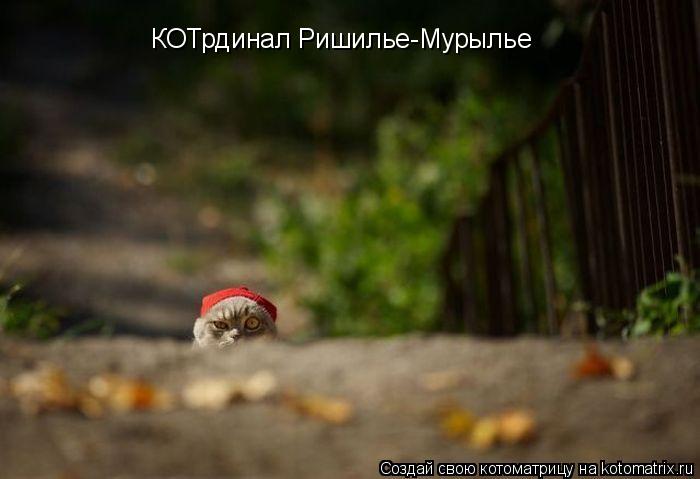 КОТрдинал Ришилье-Мурылье... Котоматрица: КОТрдинал Ришилье-Мурылье