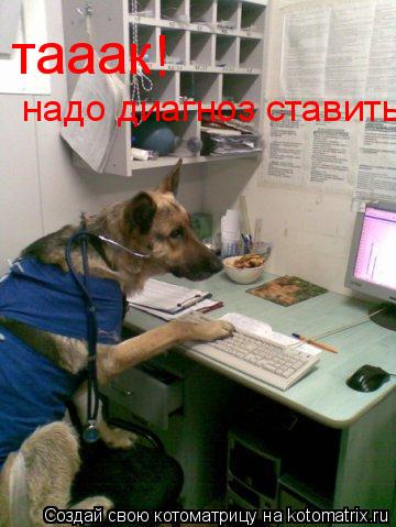 тааак ! надо диагноз ставить... Котоматрица: тааак ! надо диагноз ставить