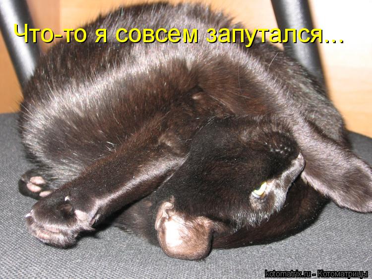 Что-то я совсем запутался...... Котоматрица: Что-то я совсем запутался...