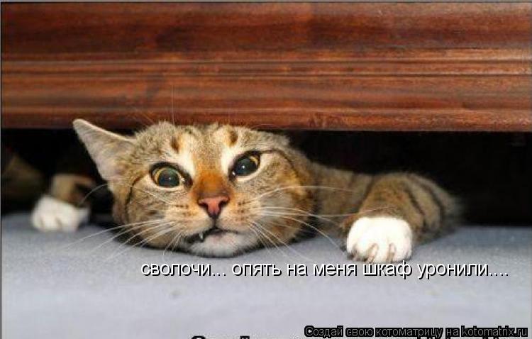 сволочи... опять на меня шкаф уронили....... Котоматрица: сволочи... опять на меня шкаф уронили....
