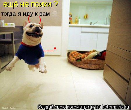 ещё не психи ? тогда я иду к вам !!! ) ( ----^... Котоматрица: ещё не психи ? тогда я иду к вам !!! ) ( ----^