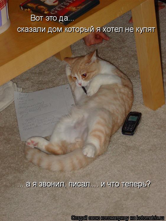 Вот это да... сказали дом который я хотел не купят ... а я звонил, писал.... и что теперь?... Котоматрица: Вот это да... сказали дом который я хотел не купят ... а я звонил, писал.... и что теперь?