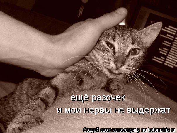 ещё разочек и мои нервы не выдержат... Котоматрица: ещё разочек и мои нервы не выдержат