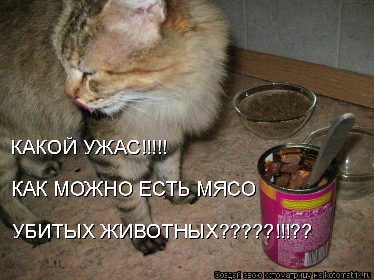 КАКОЙ УЖАС!!!!! КАК МОЖНО ЕСТЬ МЯСО УБИТЫХ ЖИВОТНЫХ?????!!!??... Котоматрица: КАКОЙ УЖАС!!!!! КАК МОЖНО ЕСТЬ МЯСО УБИТЫХ ЖИВОТНЫХ?????!!!??