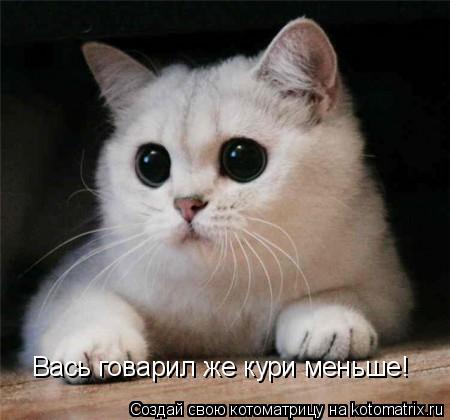 Вась говарил же кури меньше!... Котоматрица: Вась говарил же кури меньше!