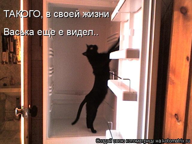 ТАКОГО, в своей жизни Васька еще е видел..... Котоматрица: ТАКОГО, в своей жизни Васька еще е видел..